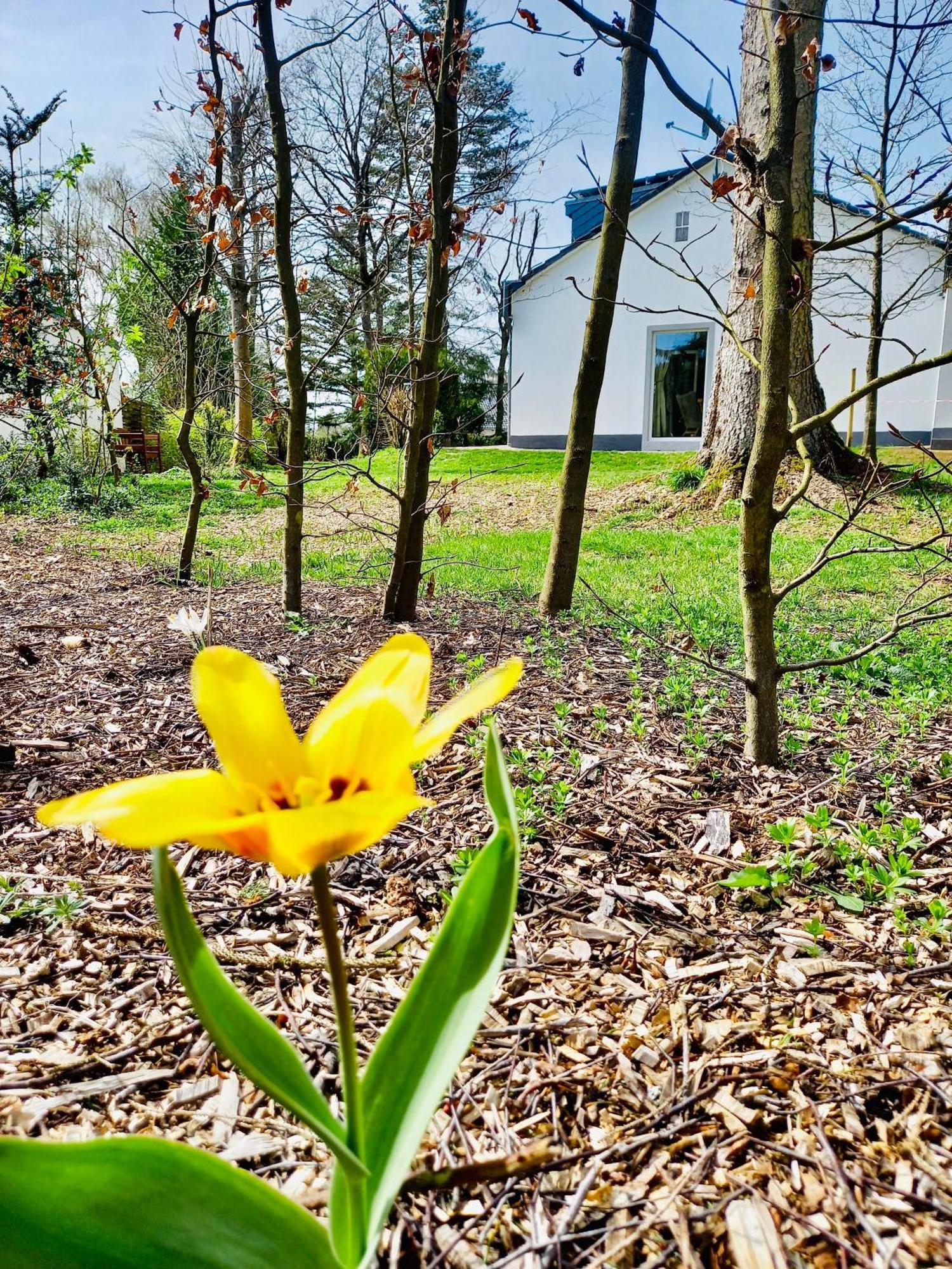 Freiraum Ferienhaus Hellenthal Esterno foto